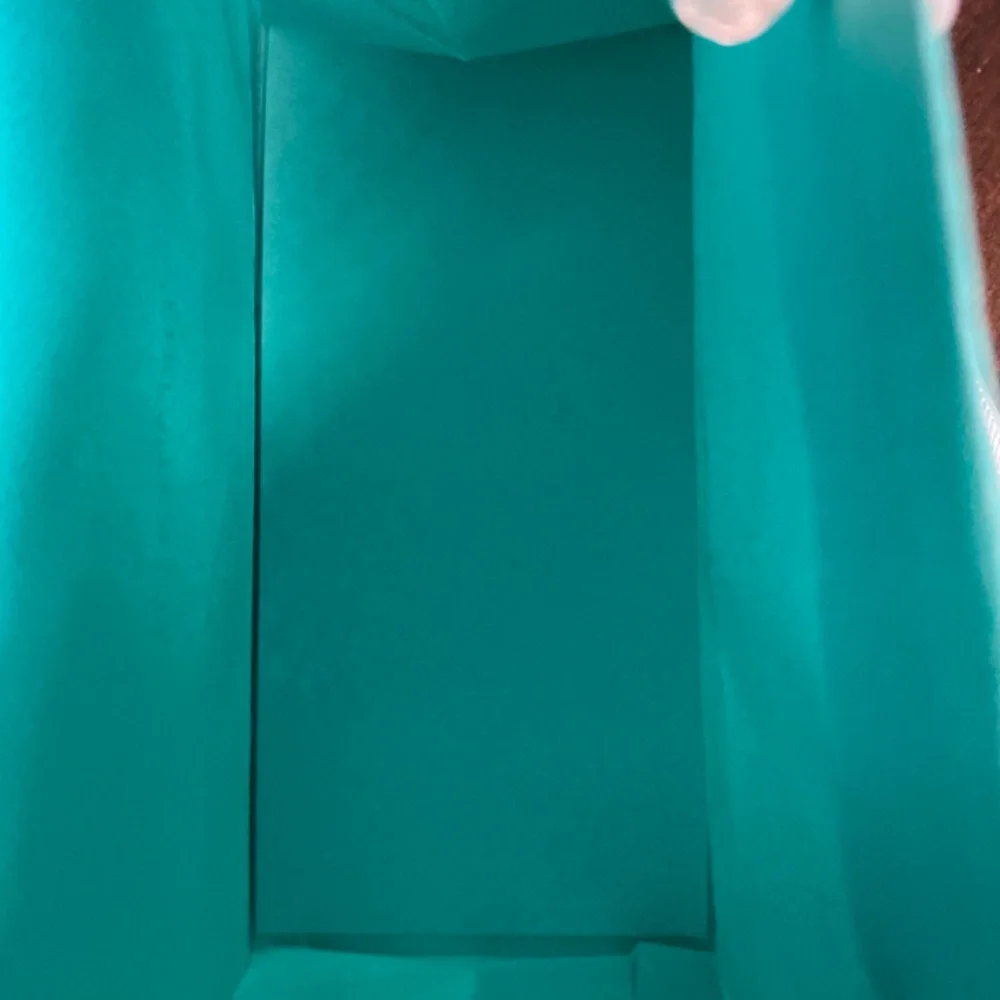 Authentic Tiffany & Co. Teal Blue Gift Bag: Reusable Bag - Picture 3 of 6